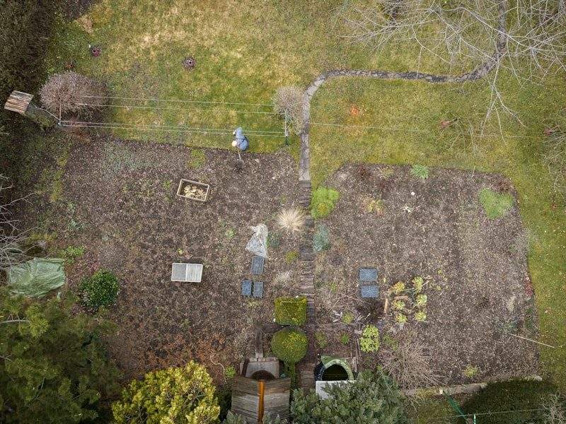 Yard full of debris before removal in Bremerton, WA