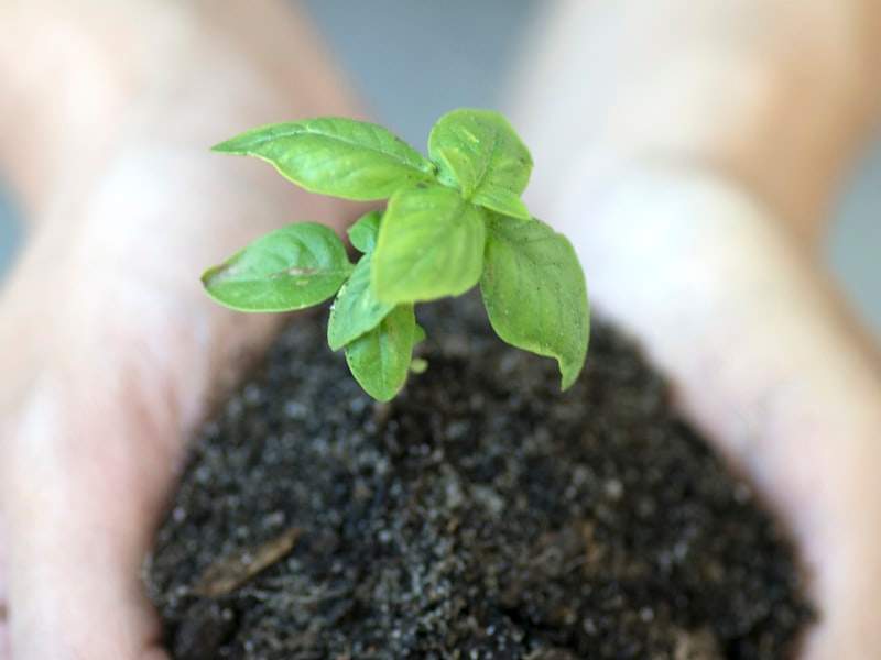 Understanding Hoarding Cleanup in Bremerton